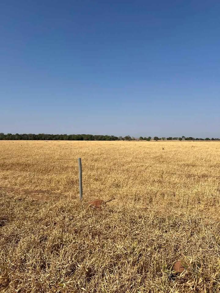 Pastagem da Fazenda da Mata